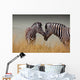 Zebras-Mother and Son Wall Mural