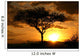 African Sunset. Tanzania, Africa Wall Mural