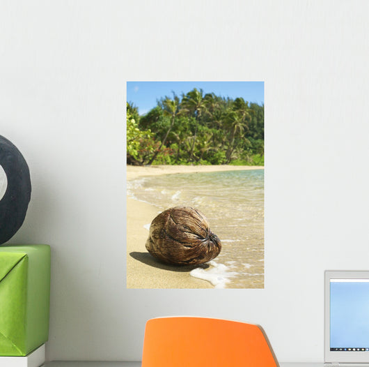 Hawaii, Kauai, Waikoko, Close-Up Of Coconut On Sandy Beach Wall Mural