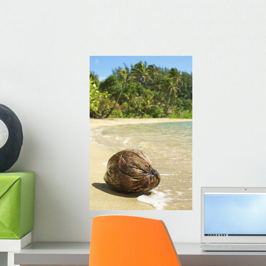 Hawaii, Kauai, Waikoko, Close-Up Of Coconut On Sandy Beach Wall Mural