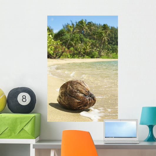 Hawaii, Kauai, Waikoko, Close-Up Of Coconut On Sandy Beach Wall Mural