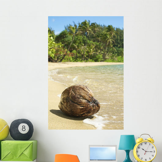 Hawaii, Kauai, Waikoko, Close-Up Of Coconut On Sandy Beach Wall Mural