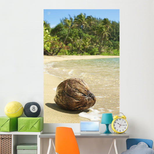 Hawaii, Kauai, Waikoko, Close-Up Of Coconut On Sandy Beach Wall Mural