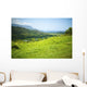 Selective Focus On Grass Wall Mural