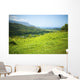 Selective Focus On Grass Wall Mural