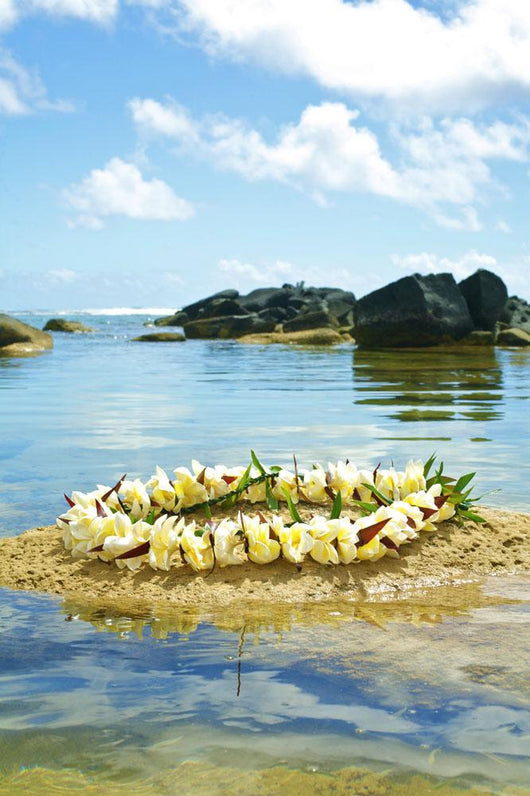 Plumeria Lei On Sand Wall Mural