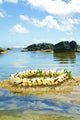 Plumeria Lei On Sand Wall Mural