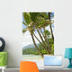Hawaii, Kauai, North Shore, Coconut Palm Trees Along Coastline Wall Mural