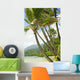 Hawaii, Kauai, North Shore, Coconut Palm Trees Along Coastline Wall Mural