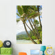 Hawaii, Kauai, North Shore, Coconut Palm Trees Along Coastline Wall Mural