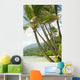 Hawaii, Kauai, North Shore, Coconut Palm Trees Along Coastline Wall Mural