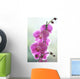 Hawaii, Kauai, Pink Orchids On Studio Background Wall Mural
