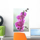 Hawaii, Kauai, Pink Orchids On Studio Background Wall Mural
