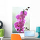 Hawaii, Kauai, Pink Orchids On Studio Background Wall Mural