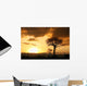 African Sunset Tanzania Africa Wall Mural