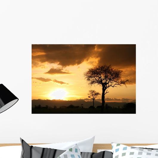 African Sunset Tanzania Africa Wall Mural