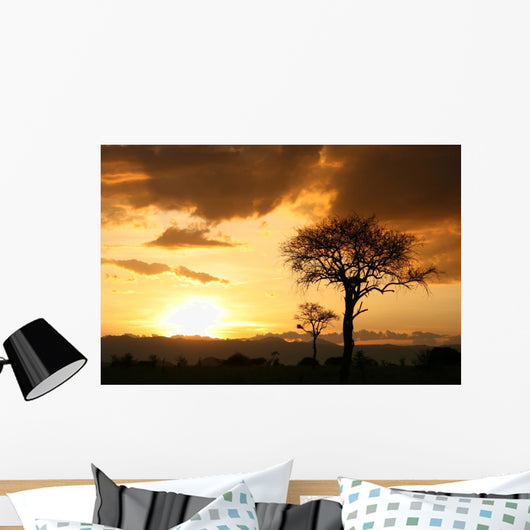 African Sunset Tanzania Africa Wall Mural