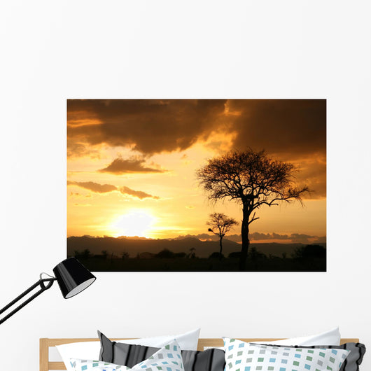 African Sunset Tanzania Africa Wall Mural