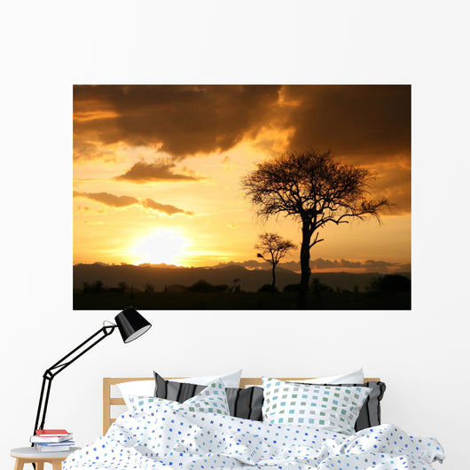 African Sunset Tanzania Africa Wall Mural