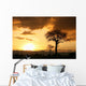 African Sunset Tanzania Africa Wall Mural
