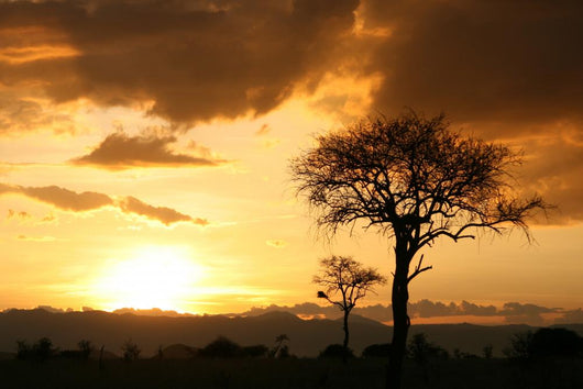 African Sunset Tanzania Africa Wall Mural