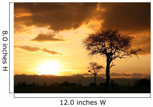 African Sunset Tanzania Africa Wall Mural