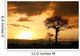 African Sunset Tanzania Africa Wall Mural