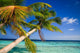 Tropical Paradise Maldives Wall Mural