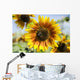 Oregon, Portland, Sauvie Island, Sunflower Hybrid And Bee Wall Mural