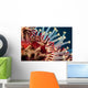 Closeup Photo of Exotic Acanthaster Wall Mural