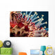 Closeup Photo of Exotic Acanthaster Wall Mural