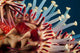 Closeup Photo of Exotic Acanthaster Wall Mural