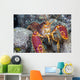 Hawaii, Maui, Molokini, Western Lobster, Found Among Rocks Wall Mural