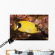 Also Known As Kikakapu Wall Mural