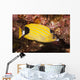 Also Known As Kikakapu Wall Mural