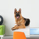 German Shepherd Dog on a White Background Wall Decal