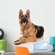 German Shepherd Dog on a White Background Wall Decal