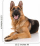 German Shepherd Dog on a White Background Wall Decal