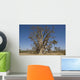 Senegal Wall Decal Design 1