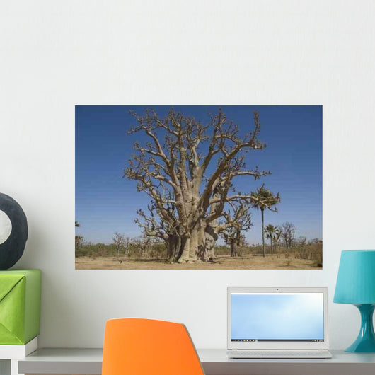 Senegal Wall Decal Design 1