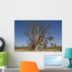 Senegal Wall Decal Design 1