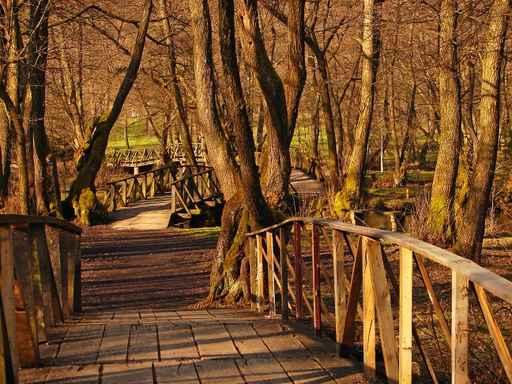 Wood Bridge over Bosna Wall Decal