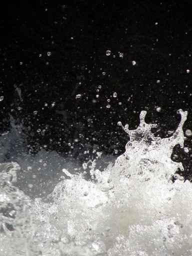 Nature Forces Water Wall Decal