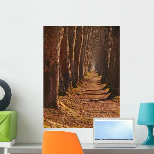 Long Wall Decal