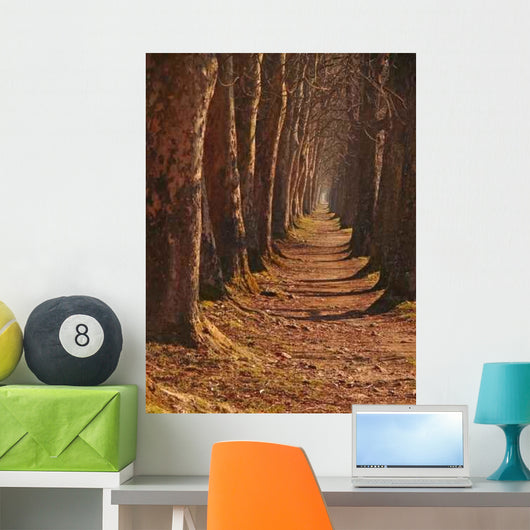 Long Wall Decal