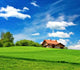 New House Wall Decal Design 1