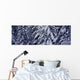 Canada, British Columbia, Salt Spring Island, Fresh Snowfall Wall Mural