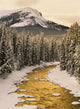 Fv5200, Natural Moments Photography Wall Mural