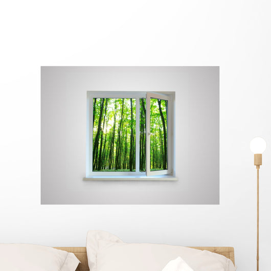 Window