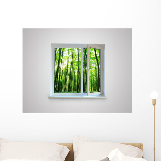 Window